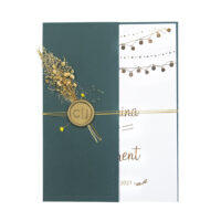 rsz_12alİce8